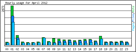 Hourly usage