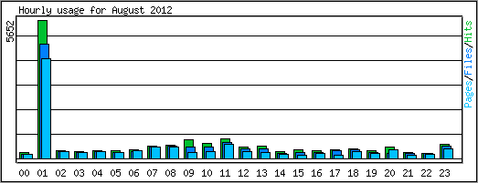 Hourly usage