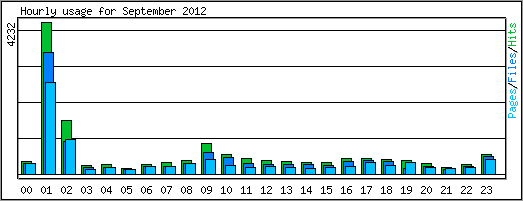 Hourly usage