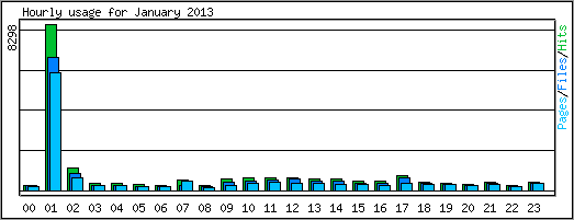Hourly usage