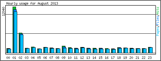 Hourly usage