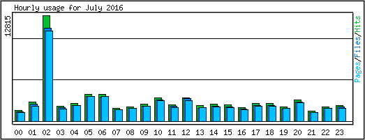 Hourly usage