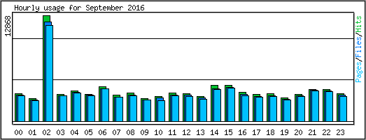 Hourly usage