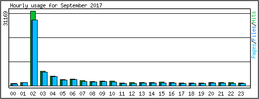 Hourly usage