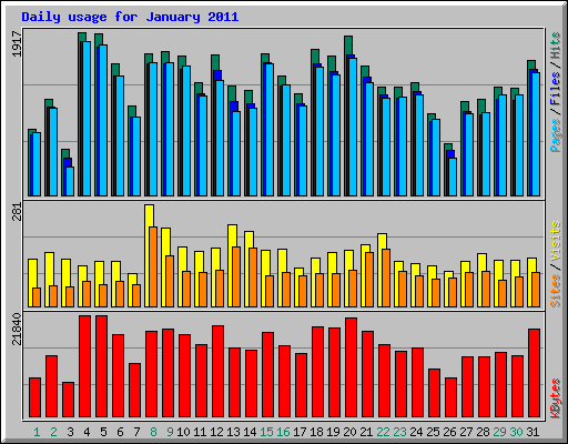 Daily usage for January 2011