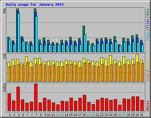 Daily usage for January 2013