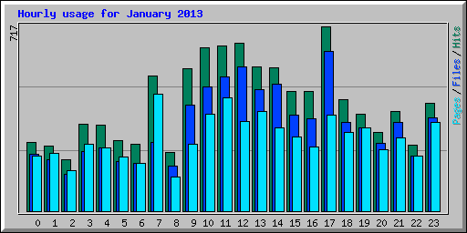 Hourly usage for January 2013