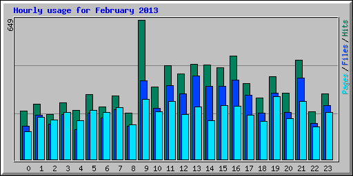 Hourly usage for February 2013