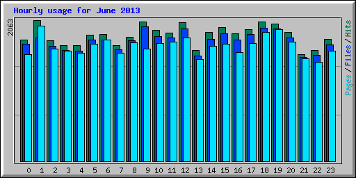 Hourly usage for June 2013