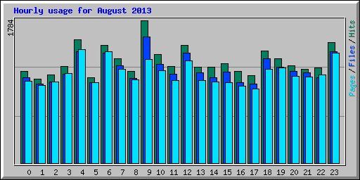 Hourly usage for August 2013