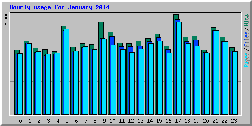 Hourly usage for January 2014