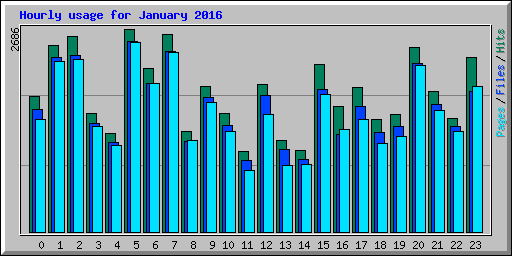 Hourly usage for January 2016