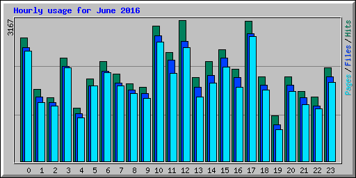Hourly usage for June 2016