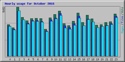 Hourly usage for October 2016